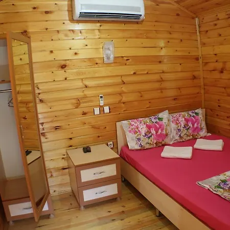 Zeytin * Olimpos