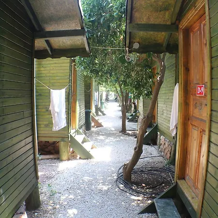 Zeytin Oda ve Kahvaltı