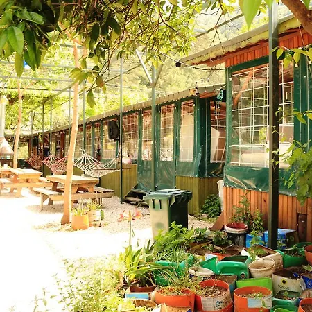 Oda ve Kahvaltı Zeytin