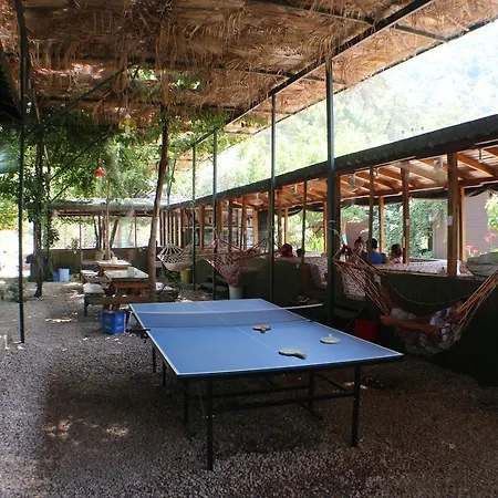 Zeytin Bed and breakfast *