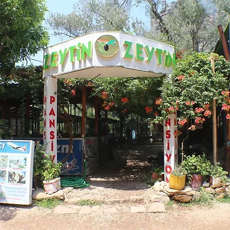 Zeytin Olympos
