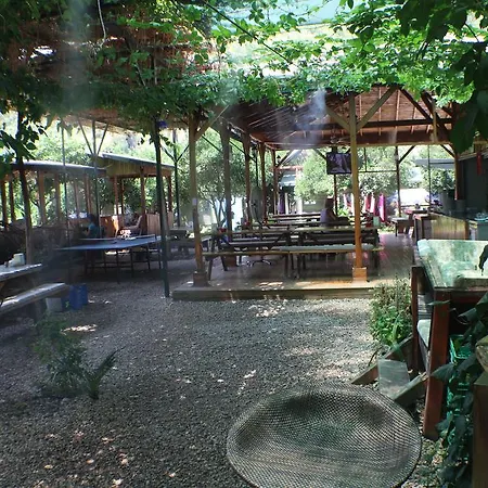 Zeytin Olympos