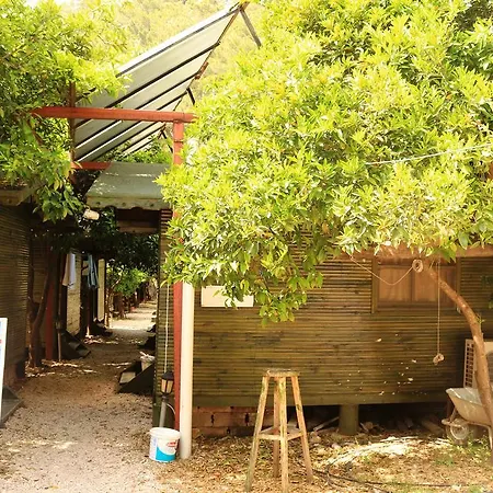 Zeytin Bed and breakfast *