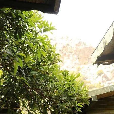 Bed and breakfast Zeytin Olympos